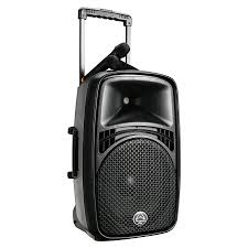 Portable PA System